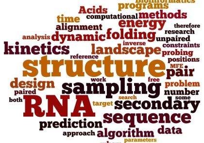 آشنایی با مطالعات RNA در بیوانفورماتیک 420x294 - مجله