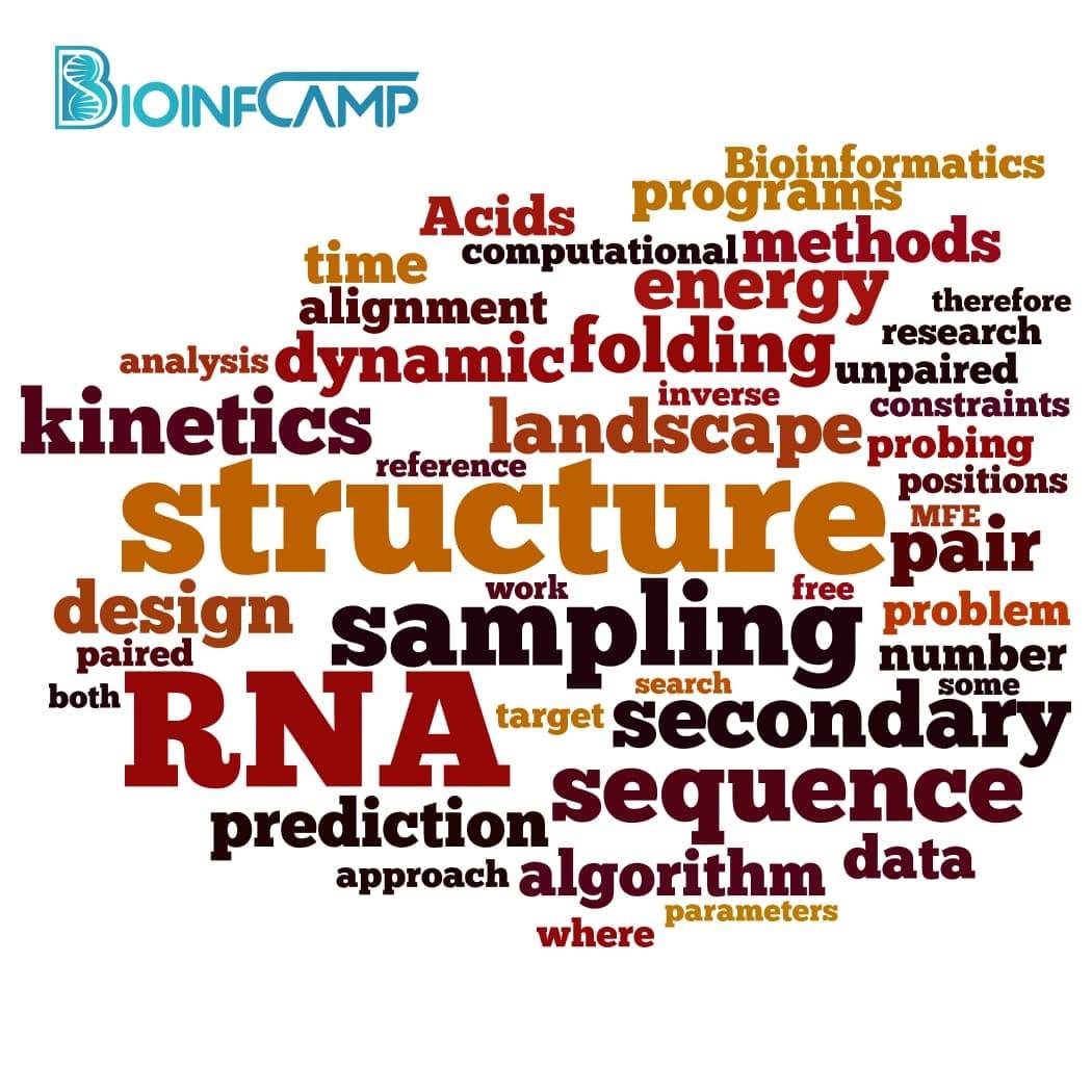 آشنایی با مطالعات RNA در بیوانفورماتیک