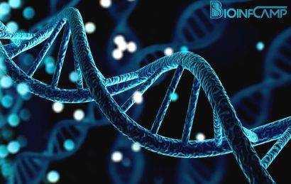 بررسی رابطه ژنتیک و بیوانفورماتیک